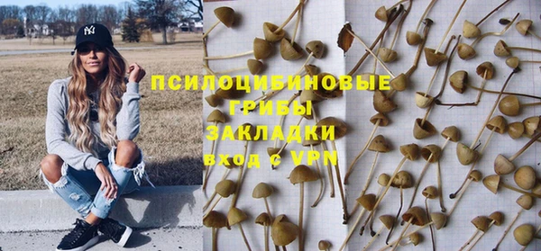 СК Няндома