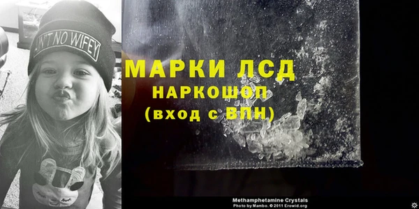 СК Няндома