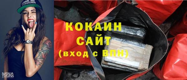 СК Няндома