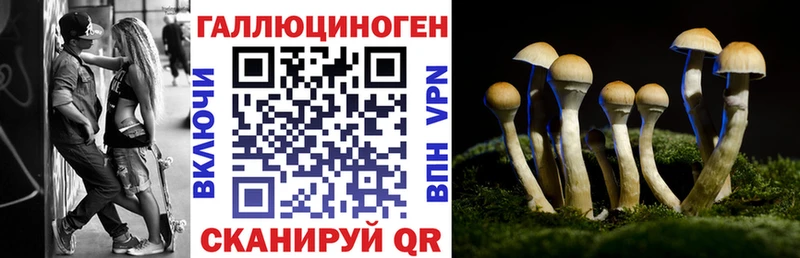 Купить закладки  Уржум  Галлюциногенные грибы мухоморы 